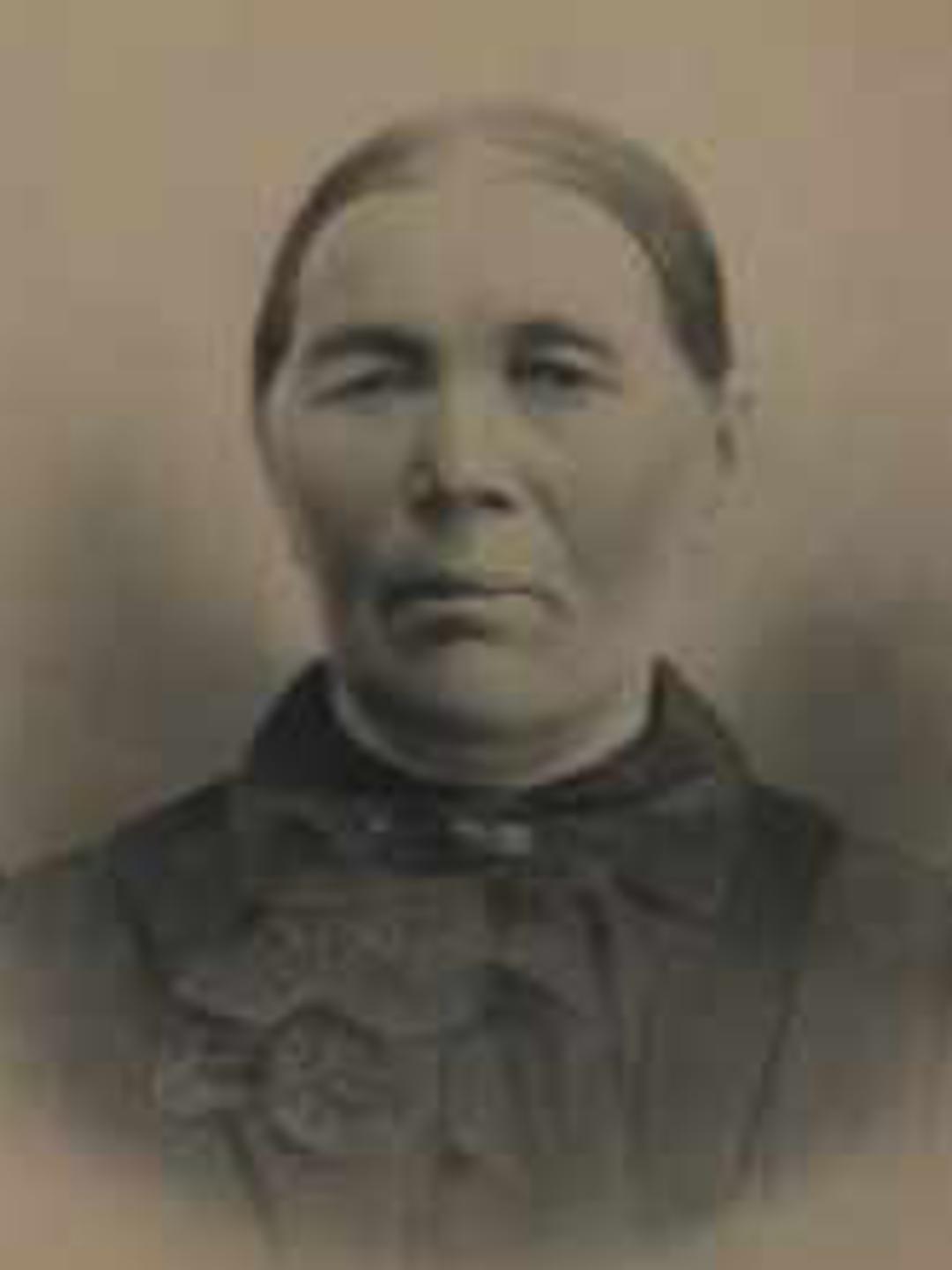 Petra Andrea Amundsen (1828 - 1909) Profile